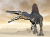 Spinosaurus dinosaur roaring in the desert Poster Print - Item # VARPSTEDV600090P