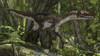 Utahraptor in a prehistoric forest Poster Print - Item # VARPSTKVA600462P