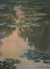 Water Lilies  1907  Claude Monet  Private Collection  Poster Print - Item # VARSAL11581107