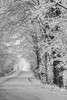 Snow covered road in a Canadian winter; Ville de Lac Brome, Quebec, Canada PosterPrint - Item # VARDPI2333728