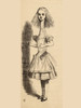 Alice Grows Taller Illustration By John Tenniel From The Book Alices's Adventures In Wonderland By Lewis Carroll Published 1891 PosterPrint - Item # VARDPI1856596
