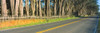 http://c328301.r1.cf1.rackcdn.com/PPI159967S.jpg