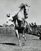 Cowboy riding a bucking horse at a rodeo Poster Print - Item # VARSAL25521951