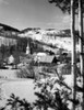High angle view of buildings on a snow covered landscape  East Corinth  Vermont  USA Poster Print - Item # VARSAL25546395