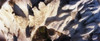 http://c328301.r1.cf1.rackcdn.com/PPI146542L.jpg