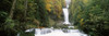 http://c328301.r1.cf1.rackcdn.com/PPI143879L.jpg