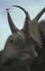 Close-up of Diabloceratops Poster Print - Item # VARPSTMDE100020P