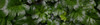 http://c328301.r1.cf1.rackcdn.com/PPI162546L.jpg