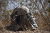 U.S. Soldier conducts a combat training scenario at the Playas Training Area, New Mexico, during exercise Angel Thunder 2013. Poster Print - Item # VARPSTTMO101023M