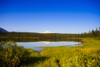 Mount Sanford Reflecting In Twin Lakes, Wrangell Saint Elias National Park, Southcentral Alaska, Summer PosterPrint - Item # VARDPI2167116