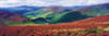 Wicklow Way, Co Wicklow, Ireland; Long Distance Walking Trail Near Luggala PosterPrint - Item # VARDPI1804680