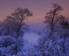 Lagan Meadows, Belfast, County Antrim, Ireland PosterPrint - Item # VARDPI1810035