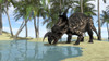 Brown Einiosaurus drinking from shallow waters Poster Print - Item # VARPSTKVA600438P