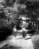 Vintage photograph of boys on forest footpath carrying improvised fishing rod and catch of fish Poster Print - Item # VARSAL25516345