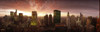 http://c328301.r1.cf1.rackcdn.com/PPI125930L.jpg