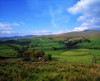Sperrin Mountains, Co Tyrone, Ireland PosterPrint - Item # VARDPI1812347