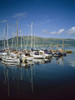 Carlingford Yacht Marina, Co Louth, Ireland PosterPrint - Item # VARDPI1840856