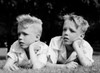 Twin boys lying on grass and looking away Poster Print - Item # VARSAL255423259