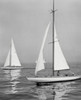 Sailboats in the sea Poster Print - Item # VARSAL25522849