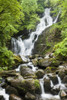 Torc Waterfall; Killarney, County Kerry, Ireland PosterPrint - Item # VARDPI2059279