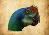 Oviraptor head detail Poster Print - Item # VARPSTARZ600013P