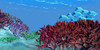 A school of iridescent Blue Tango fish swim over brightly colored red coral beds on an ocean reef Poster Print - Item # VARPSTCFR300039U