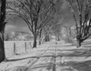 USA  Colorado  Winter road scene Poster Print - Item # VARSAL255423060