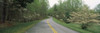 http://c328301.r1.cf1.rackcdn.com/PPI64063S.jpg