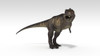 Tyrannosaurus Rex, white background Poster Print - Item # VARPSTKVA600767P