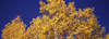 http://c328301.r1.cf1.rackcdn.com/PPI124258L.jpg