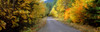 Autumn trees along road in Mt Hood National Forest, Oregon, USA Poster Print - Item # VARPPI86644