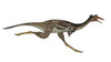 Mononykus dinosaur running, white background Poster Print - Item # VARPSTEDV600195P