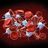 Red blood cells with leukocytes. Poster Print - Item # VARPSTSTK700127H