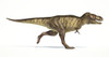 Tyrannosaurus Rex dinosaur on white background with drop shadow Poster Print - Item # VARPSTVET600066P
