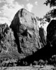 USA  Utah  Zion National Park  Great White Throne  low angle view Poster Print - Item # VARSAL255423271