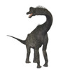 Brachiosaurus dinosaur Poster Print - Item # VARPSTCFR200005P