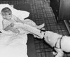 High angle view of a boy pulling a towel from his dog Poster Print - Item # VARSAL25513563