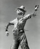 Low angle view of a scarecrow Poster Print - Item # VARSAL25535837