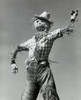 Low angle view of a scarecrow Poster Print - Item # VARSAL25535837