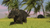 Triceratops roaming a tropical environment Poster Print - Item # VARPSTKVA600239P