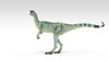 Dilophosaurus dinosaur, white background Poster Print - Item # VARPSTKVA600728P
