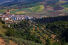 Village of Alhama de Granada  Granada Province  Andalucia  Spain Poster Print by Panoramic Images (19 x 12) - Item # PPI157240