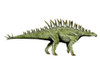 Huayangosaurus dinosaur, white background Poster Print - Item # VARPSTNBT600113P