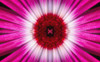Flower PosterPrint - Item # VARDPI4481