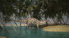 Dicraeosaurus grazing in a tropical climate Poster Print - Item # VARPSTKVA600112P