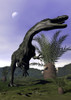 Monolophosaurus dinosaur roaring next to cycadeoidea plant Poster Print - Item # VARPSTEDV600244P