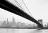 USA  New York City  New York skyline with Brooklyn Bridge Poster Print - Item # VARSAL255422475