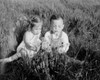 Girl and boy sitting on meadow blowing dandelions Poster Print - Item # VARSAL255424446