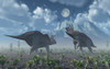 Territorial confrontation between two male Triceratops during the Cretaceous period of time Poster Print - Item # VARPSTMAS100982P