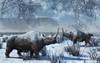 A pair of Woolly Rhinoceros brave a harsh cold winter during Earth's Pleistocene Era Poster Print - Item # VARPSTMAS100462P